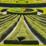 W dotychczasowych czasach posiadanie prawa jazdy jest wielce ważne.